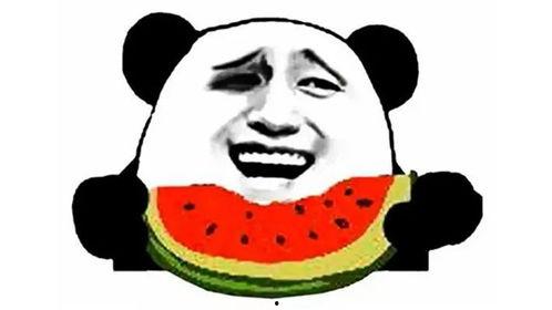 娱乐吃瓜酱低智商