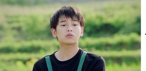 爱豆吃瓜娱乐酱许凯