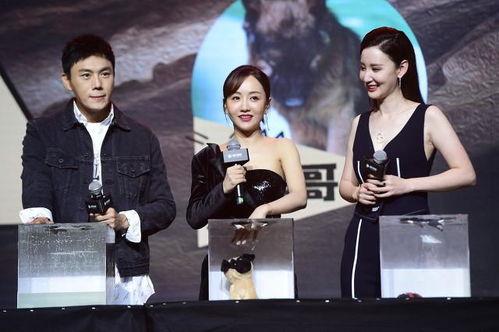 娱乐圈名字外号吃瓜汇总,吃瓜群众必备汇总