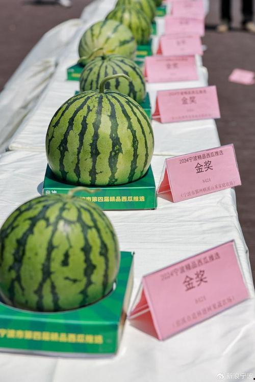 娱乐吃瓜甜,揭秘明星们的甜蜜生活