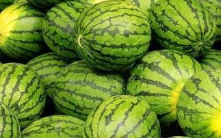 每日大赛吃瓜爆料每日大赛聚集地,揭秘大赛聚集地的风云变幻